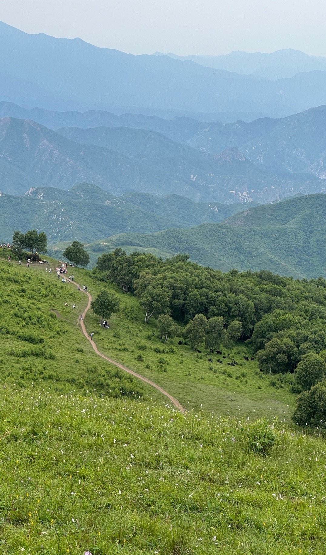 山川秀丽,绿意盎然,大自然的怀抱让人心旷神怡.