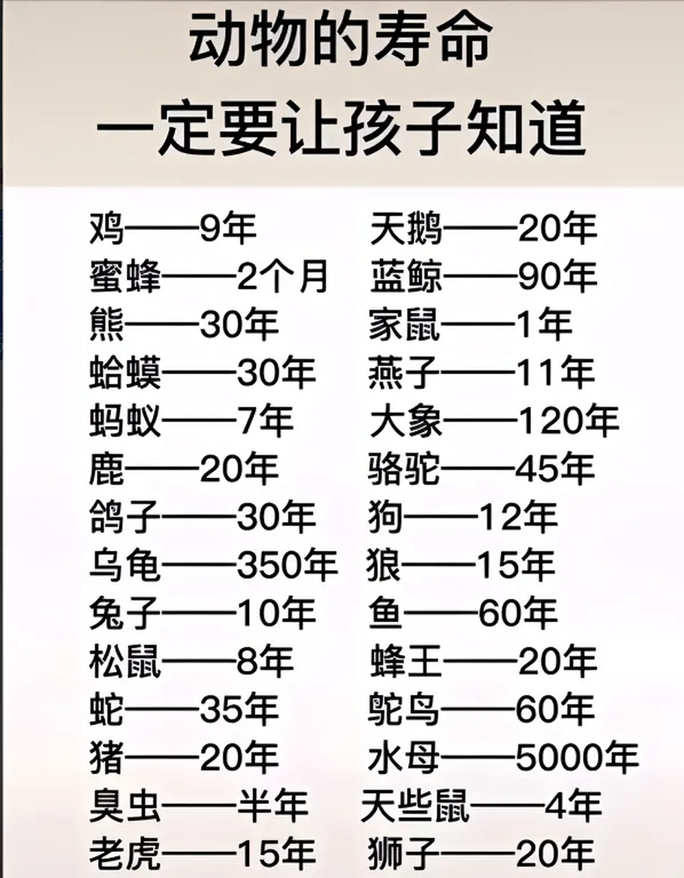 一张图揭示动物寿命的秘密,让孩子涨见识!