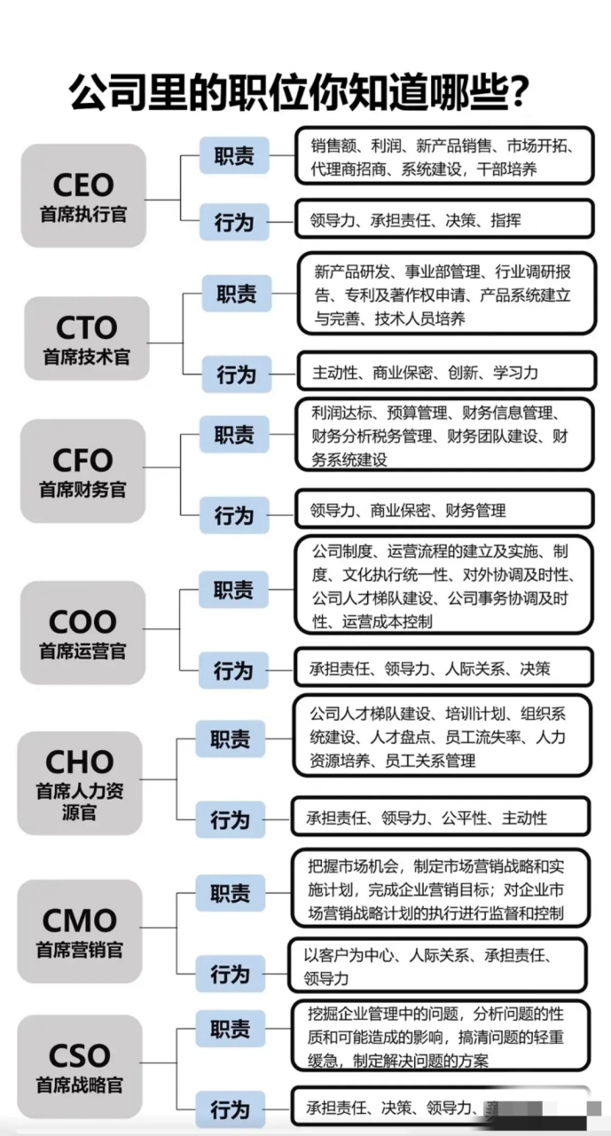 公司职务级别图图片