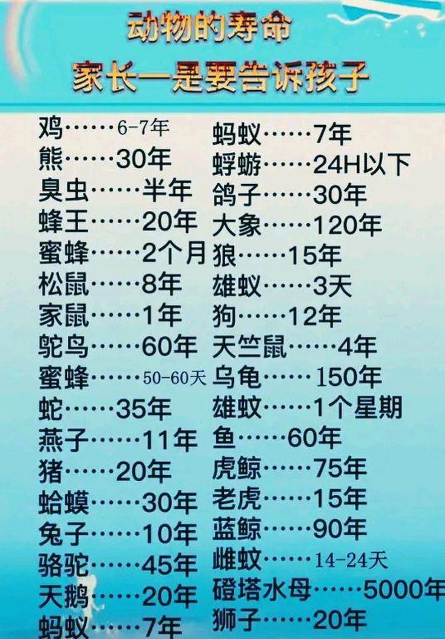 动物寿命一览表,都是冷知识,有的能活5000年.