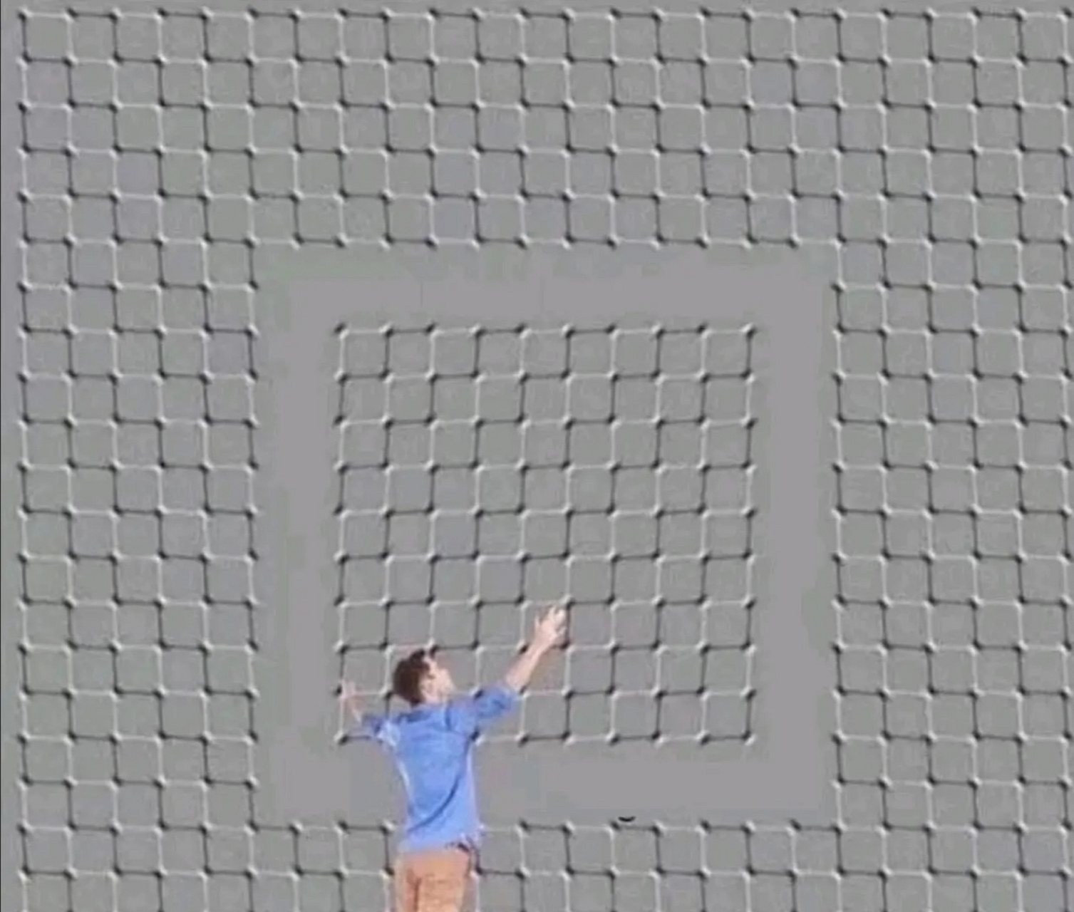 为什么看不到图片