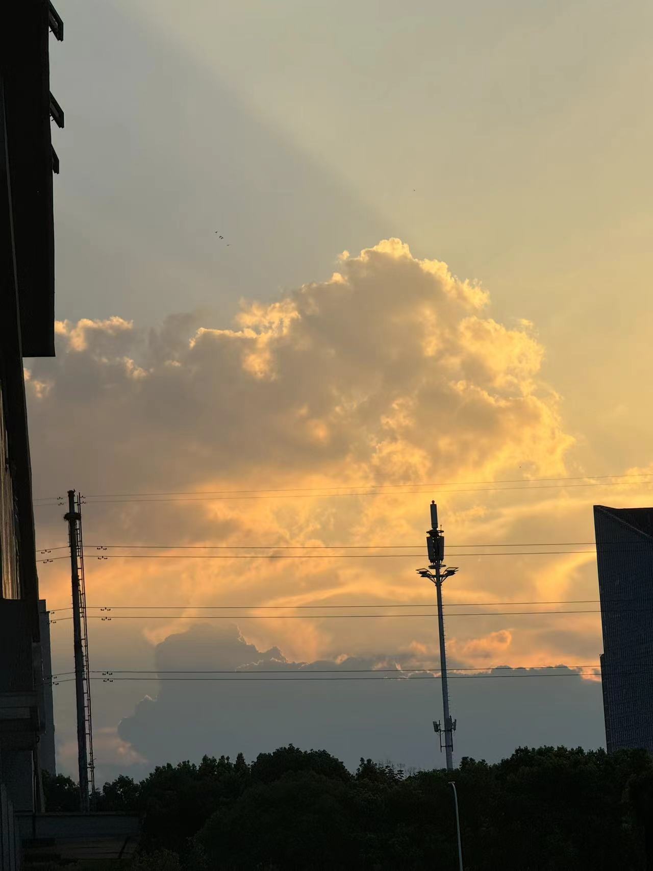 夕阳下的云朵,美得像一幅画.