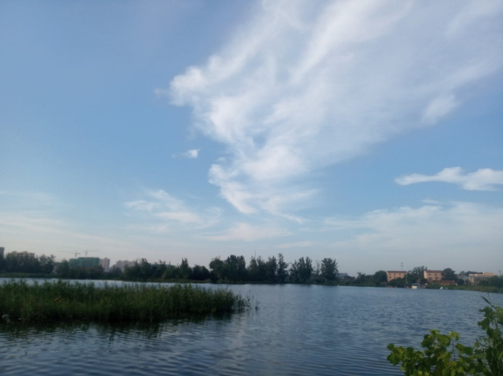 夏邑县美丽的城湖!