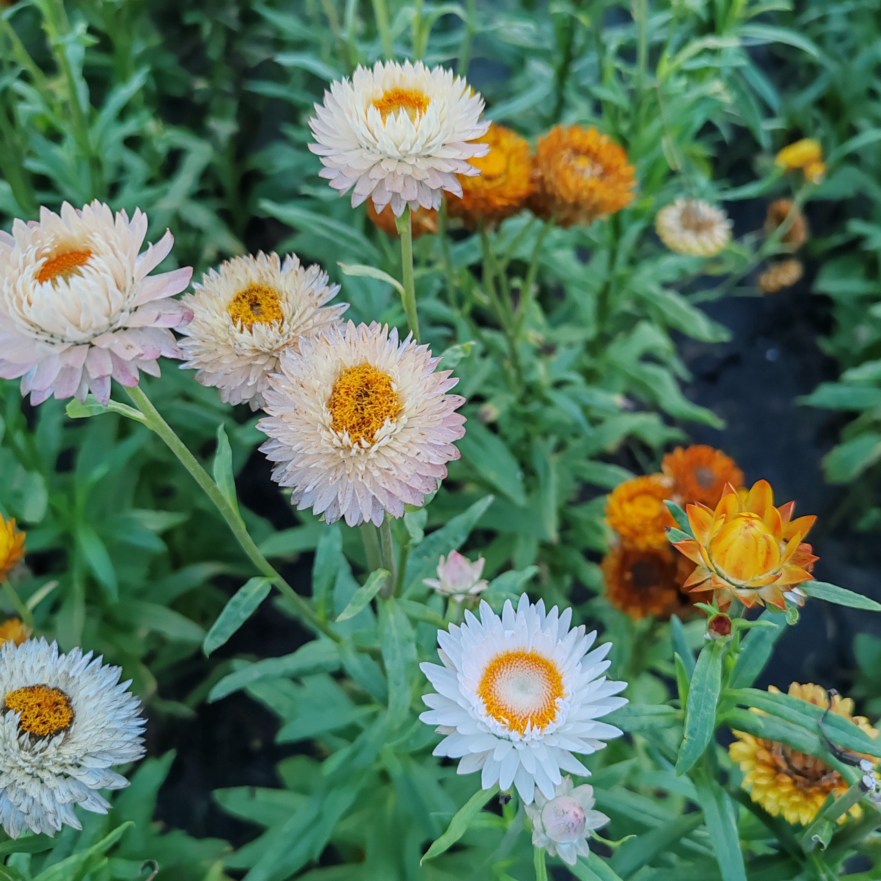 多鼓励自己, 自己是很棒的, 要开发自己, 认为自己不行的时候, 你要