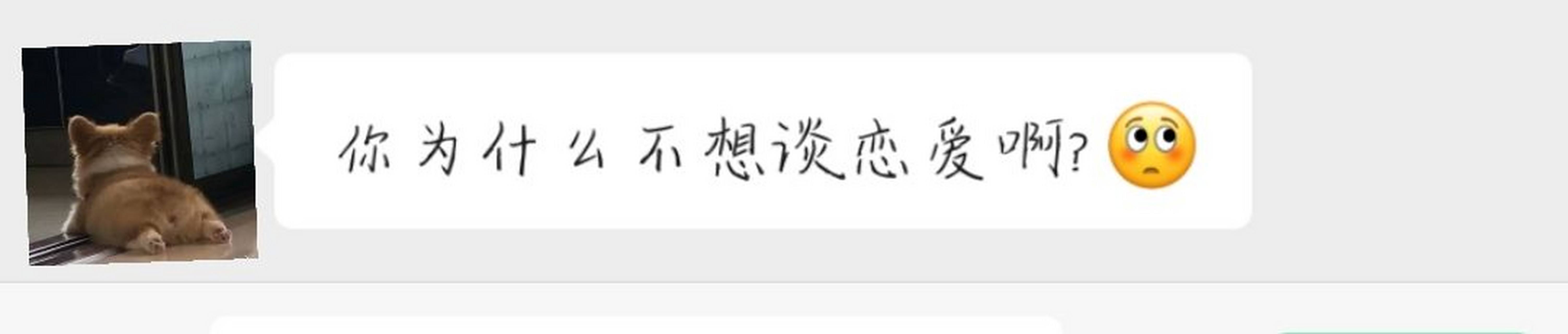 你为什么一直不谈恋爱恋爱秘籍