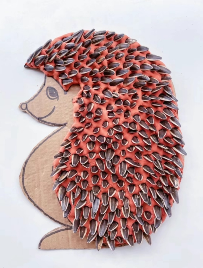 今天我要和大家分享一只超级可爱,又有点特别的刺猬哦!