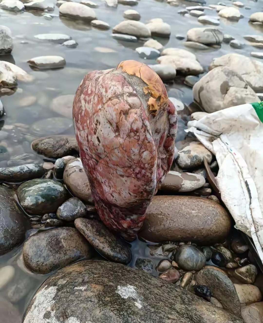 纹路清新,颜色红褐色觉得都挺有意思.也不知道这是块什么石头?