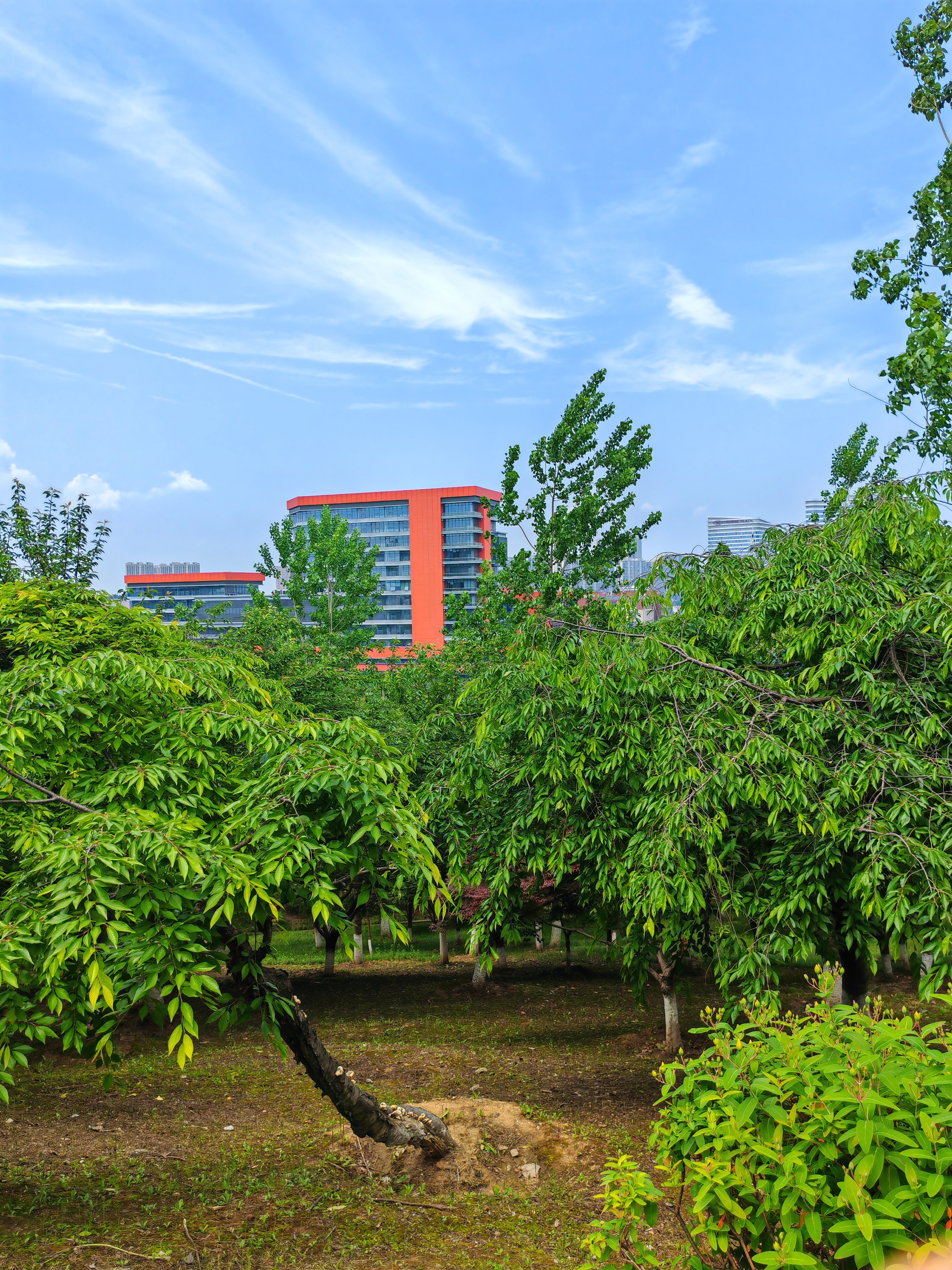 光谷二妃山生物公园图片