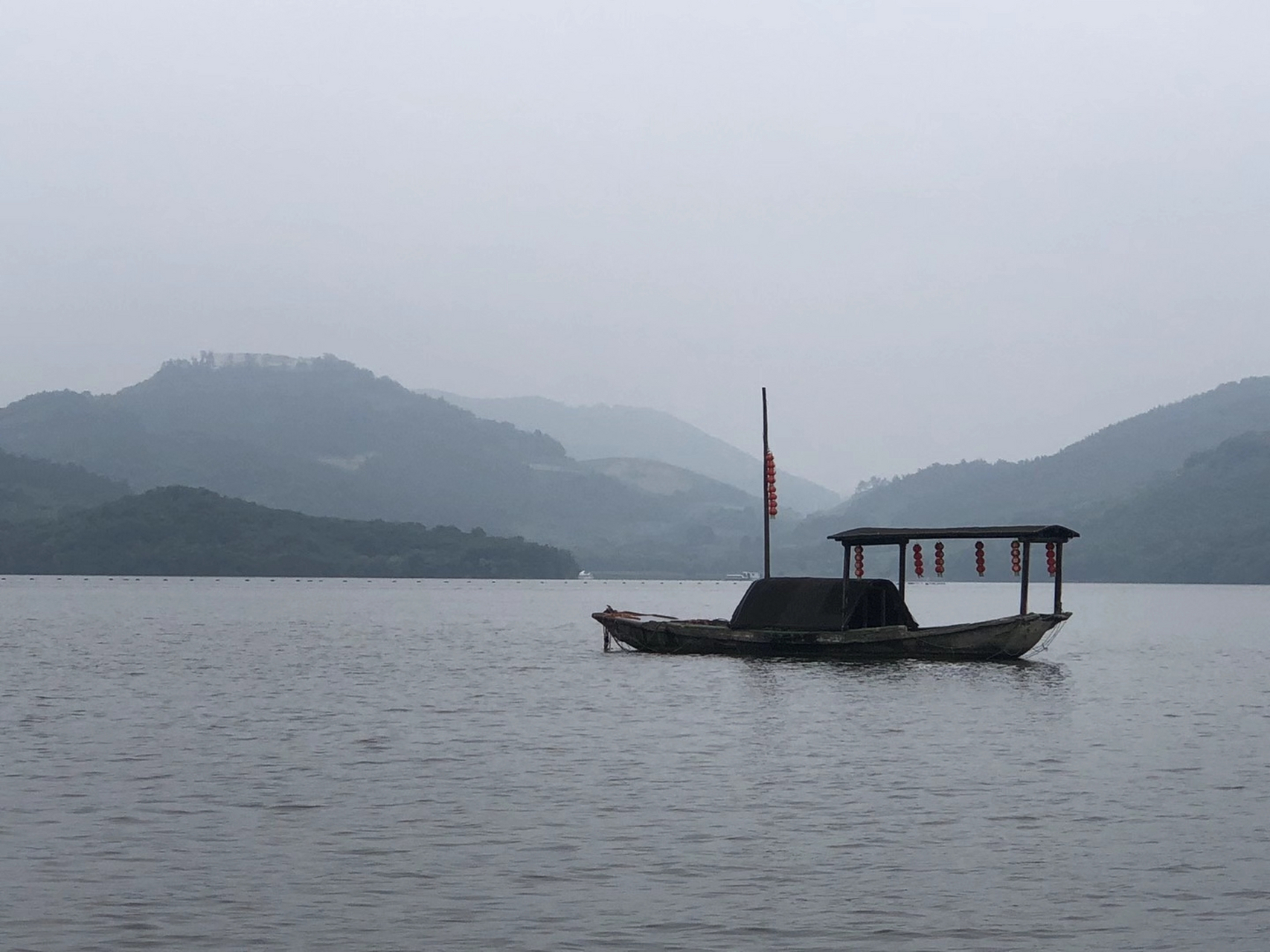有一种草 叫绝情草 有一种药 叫后悔药 有一种情 叫痴情物 有一种痛