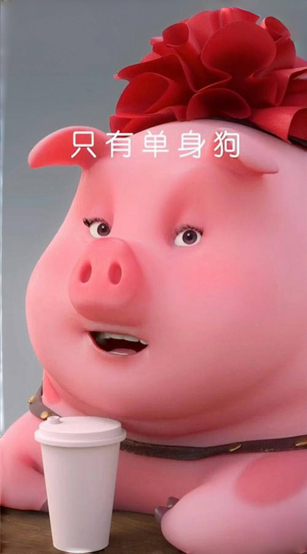 在一张古朴的木桌上,一只卡通猪静