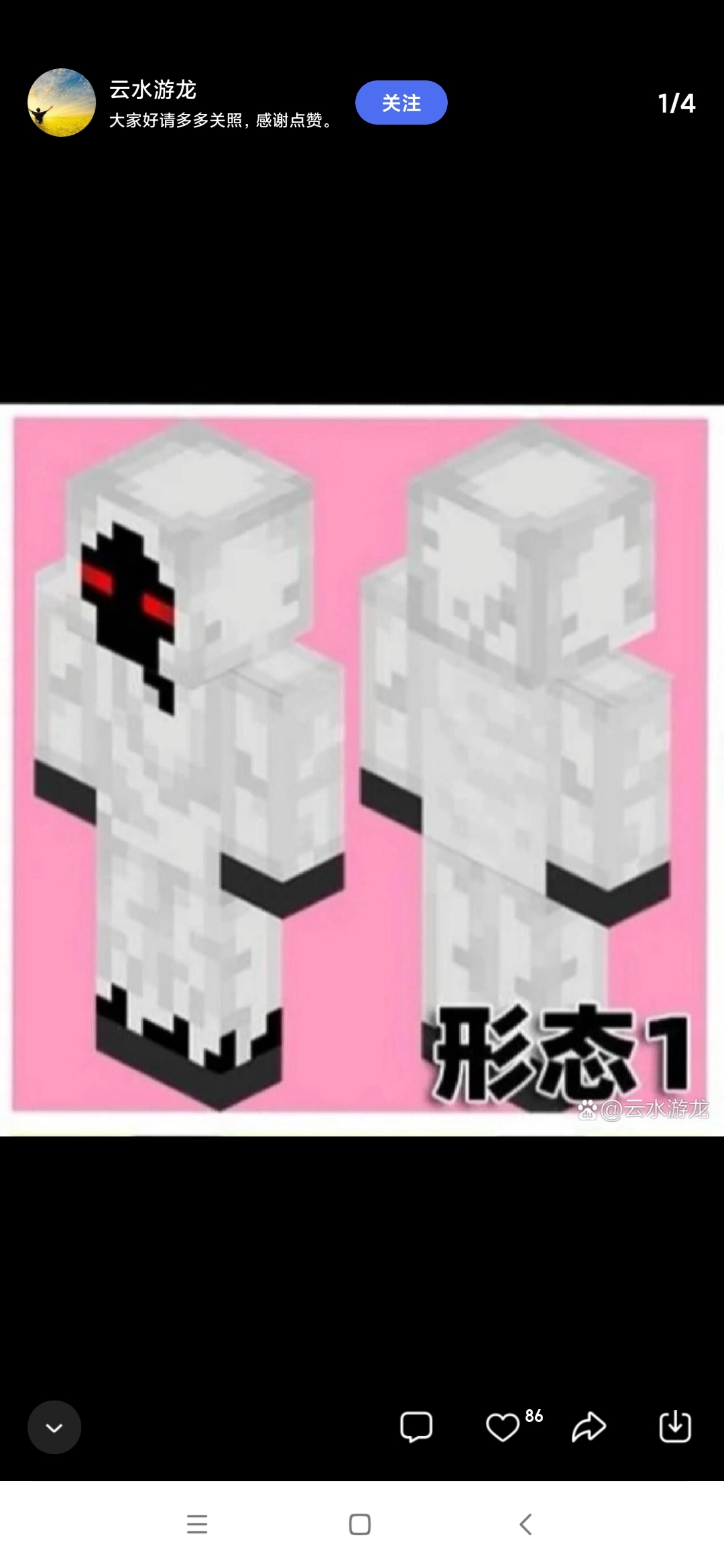 实体303,  4大形态.