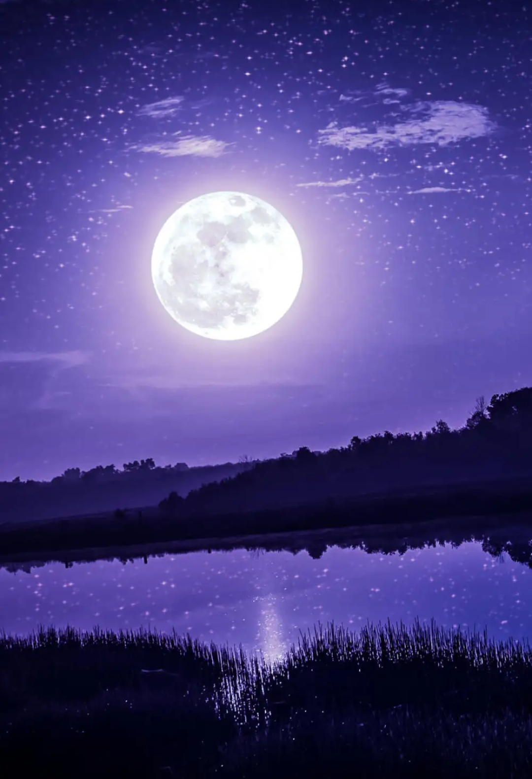 这一天的月亮格外明亮,就像一面硕大的银盘悬挂在天空,让人倍感温馨.