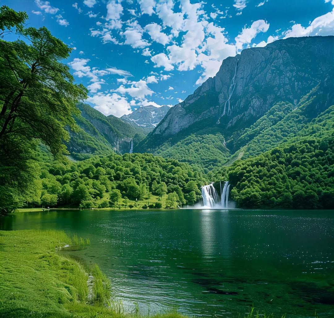 翠绿的草地宛如绒毯,轻轻铺展在眼前,让人忍不住想躺下打滚