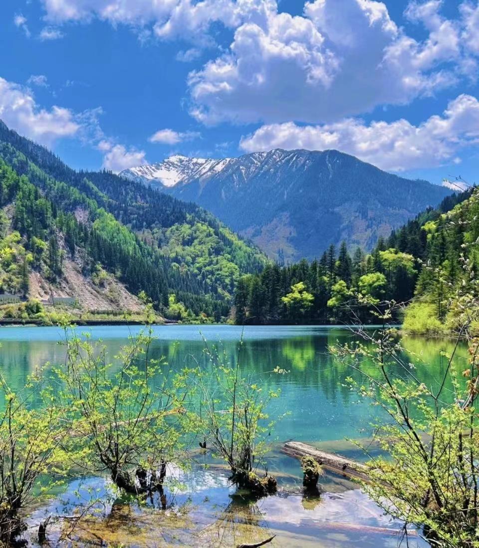 九寨沟,这个位于四川省阿坝藏族羌族自治州九寨沟县的神奇地方,以其
