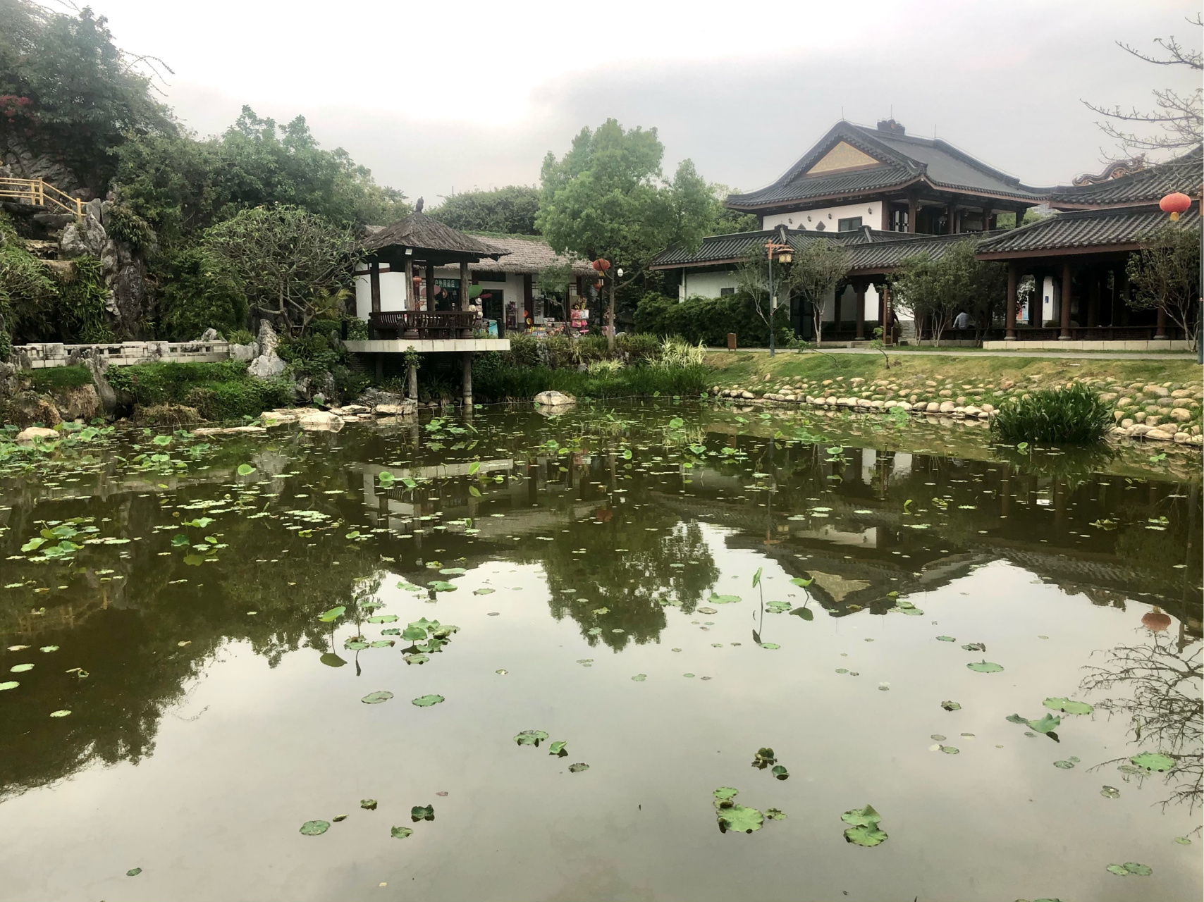 实拍:丰渚园荷花亭