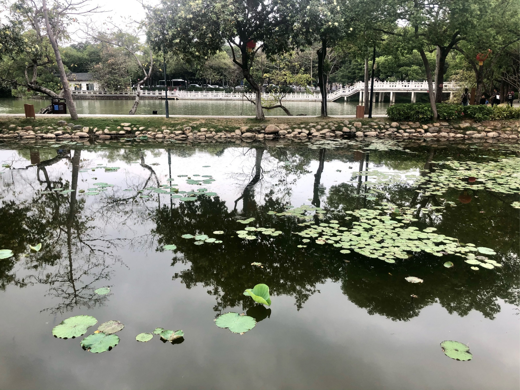 实拍:丰渚园荷花亭