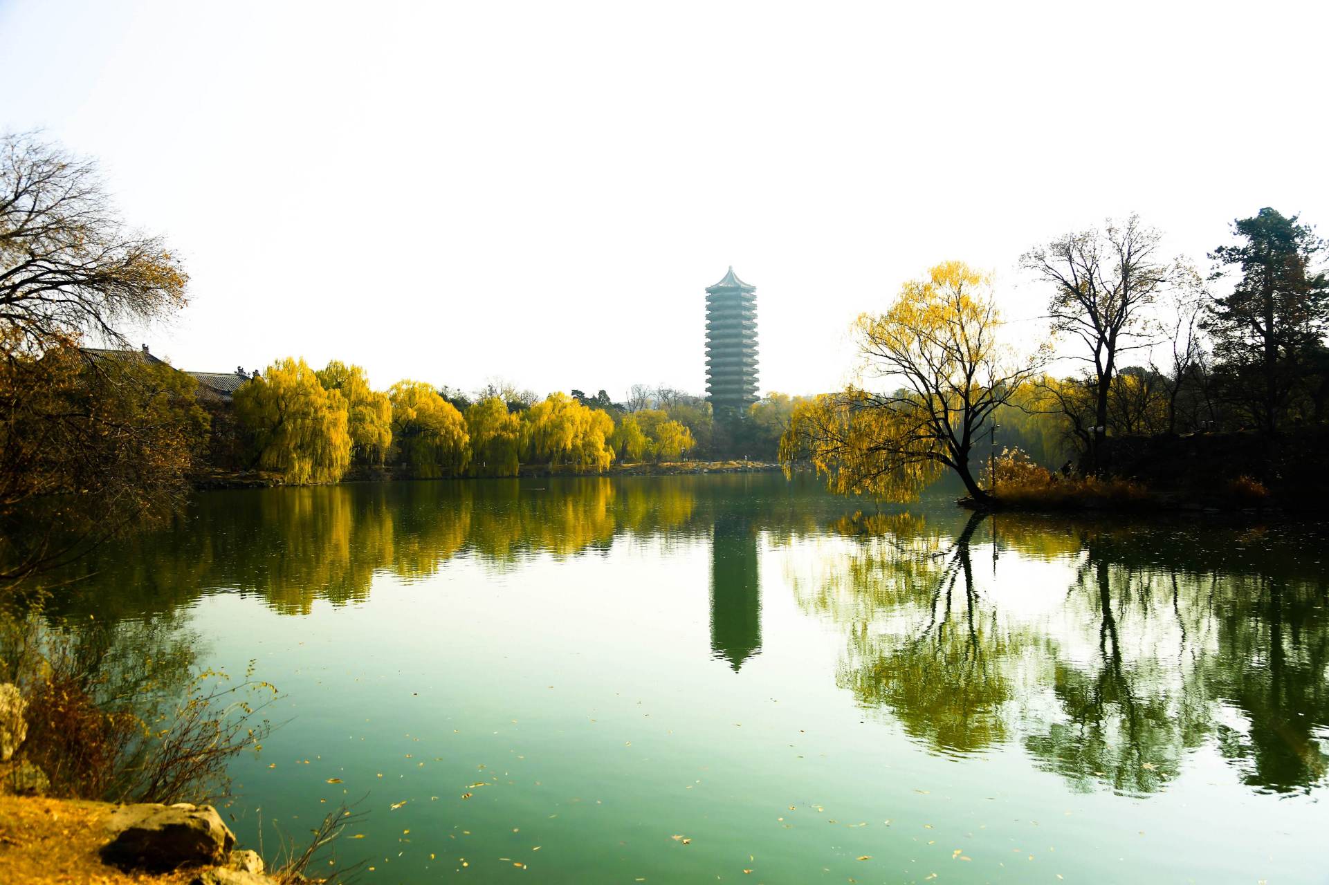 清华大学和北京大学被所谓的绝大部分毕业生出国留学不回国的"谣言"