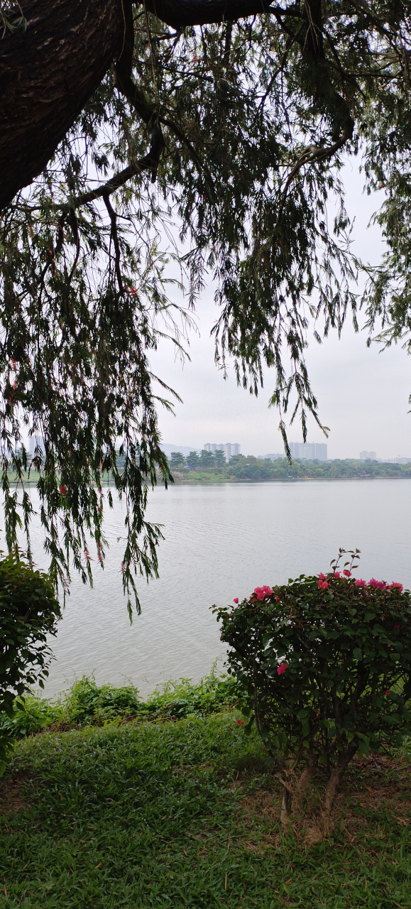 广州市增城区的增江画廊