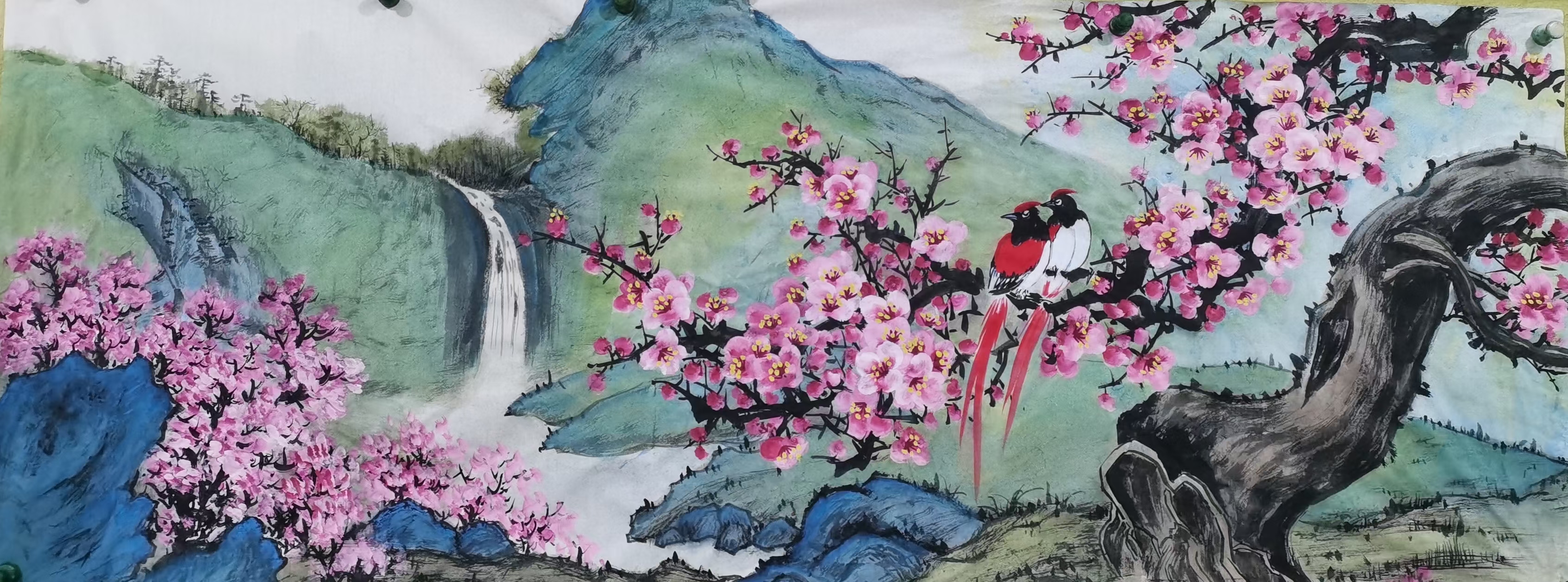 玉泉书画梅花图片