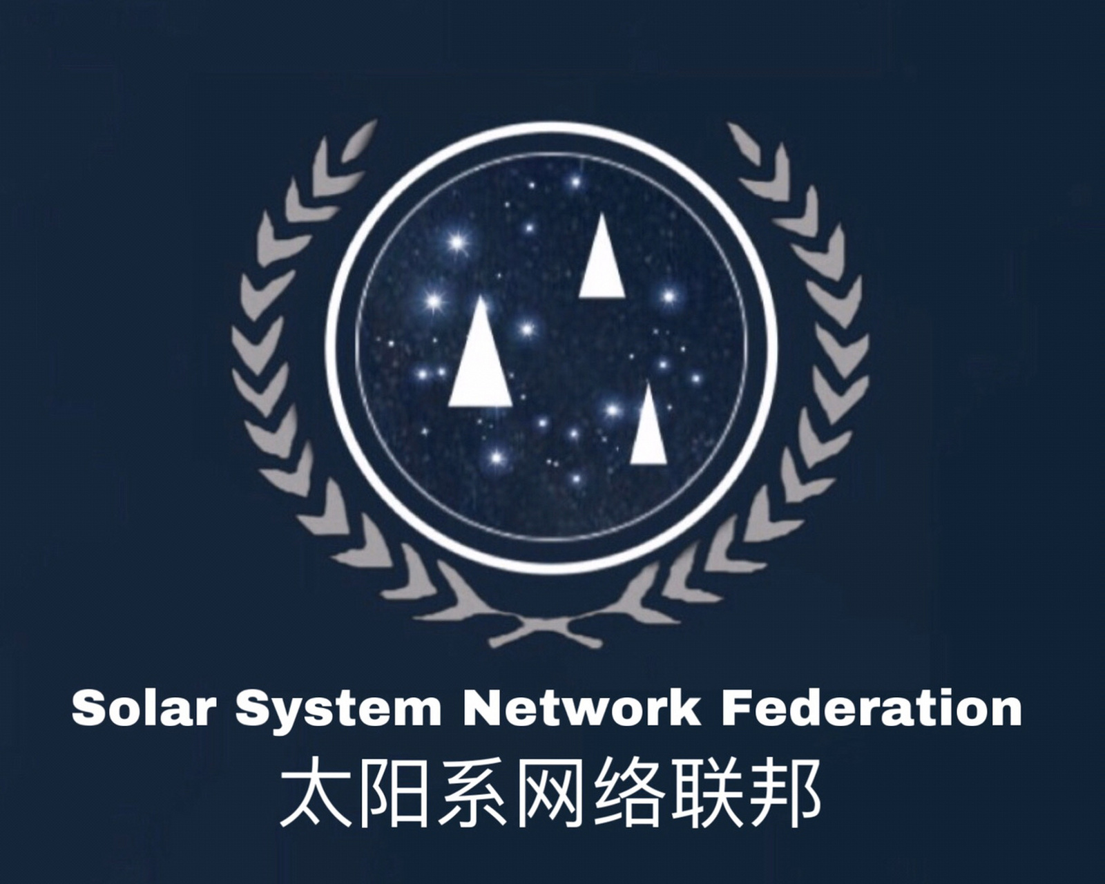对网络素质的专项治理政策  太阳系网络联邦2020011801议案  一,对于