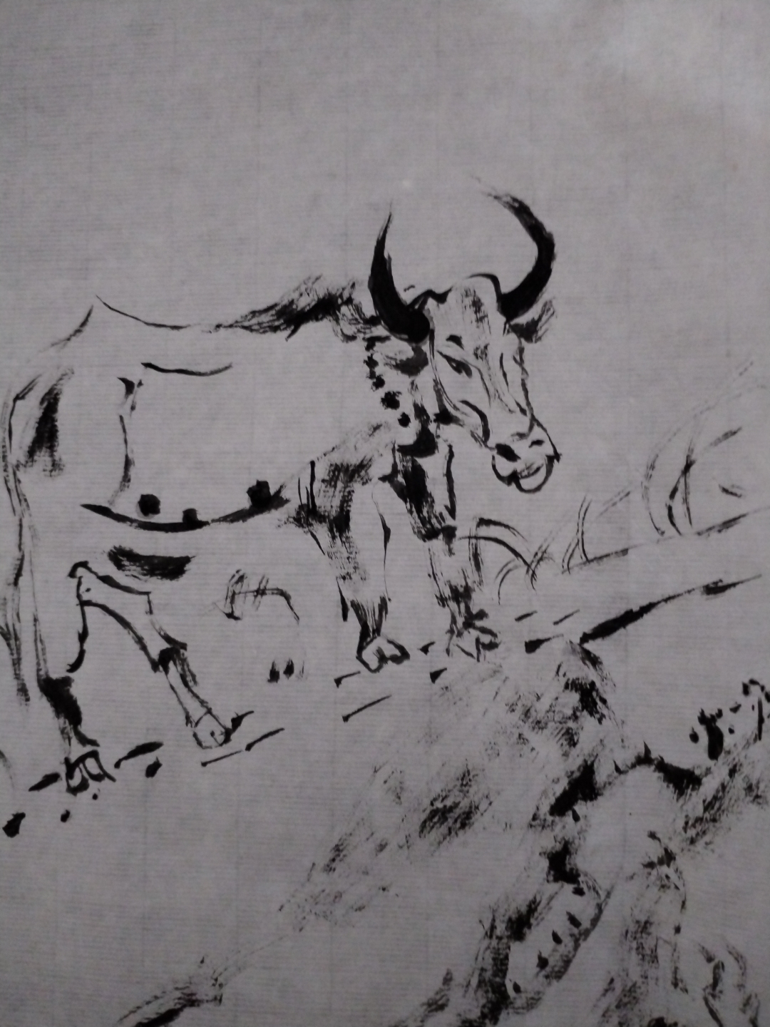 之乎国画 ,白描牛.