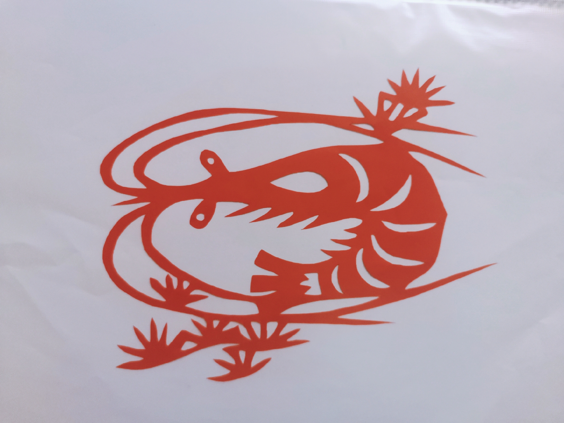 今天给大家分享一款小动物剪纸——虾