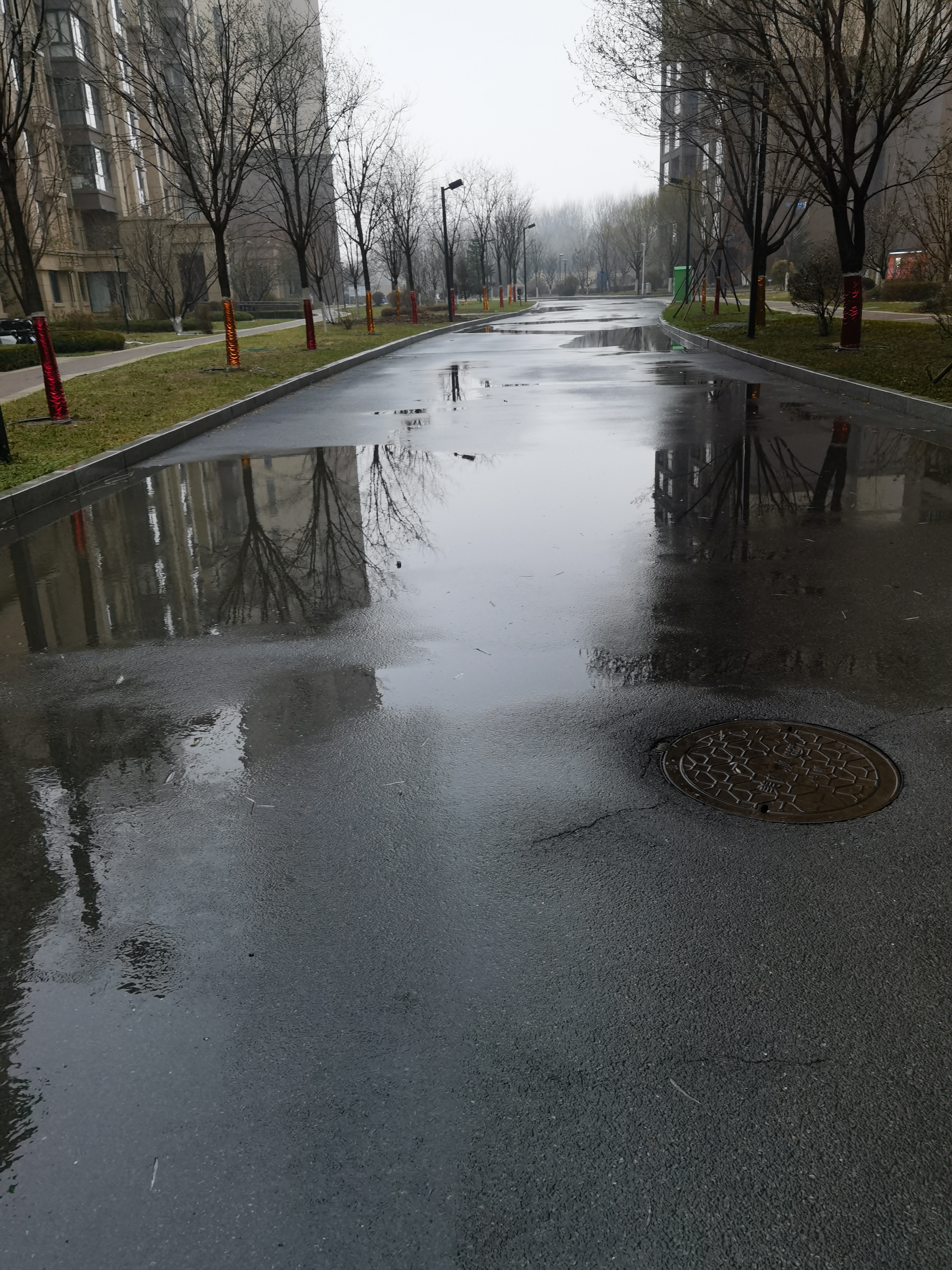 雨天清晨的图片真实的图片