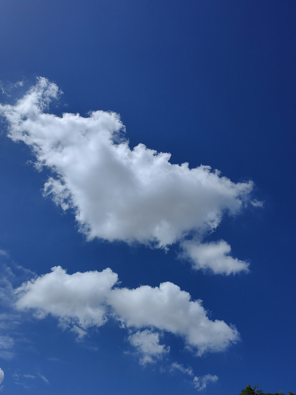 为什么最美的浮云都出现在夏季的晴天?