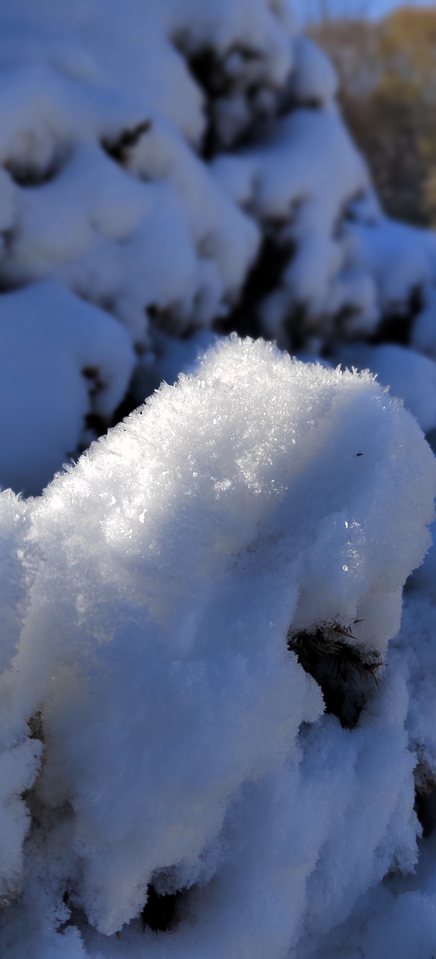 下雪的图片实景手机图片