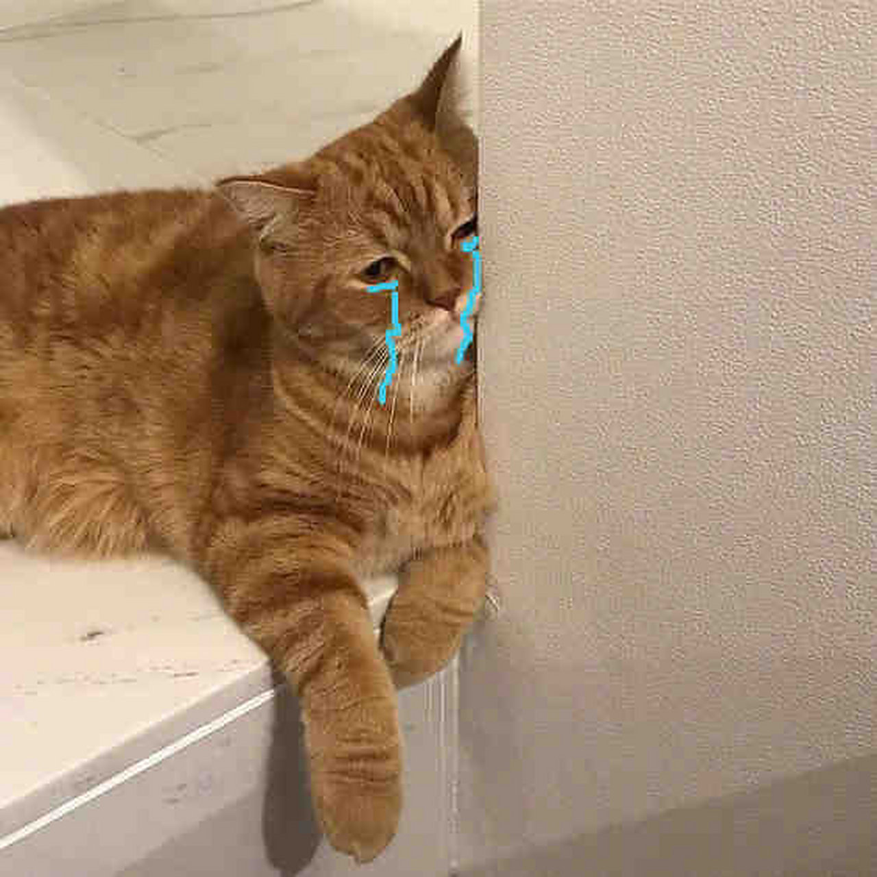 我真的好无奈 在线救助大家,我该怎么办