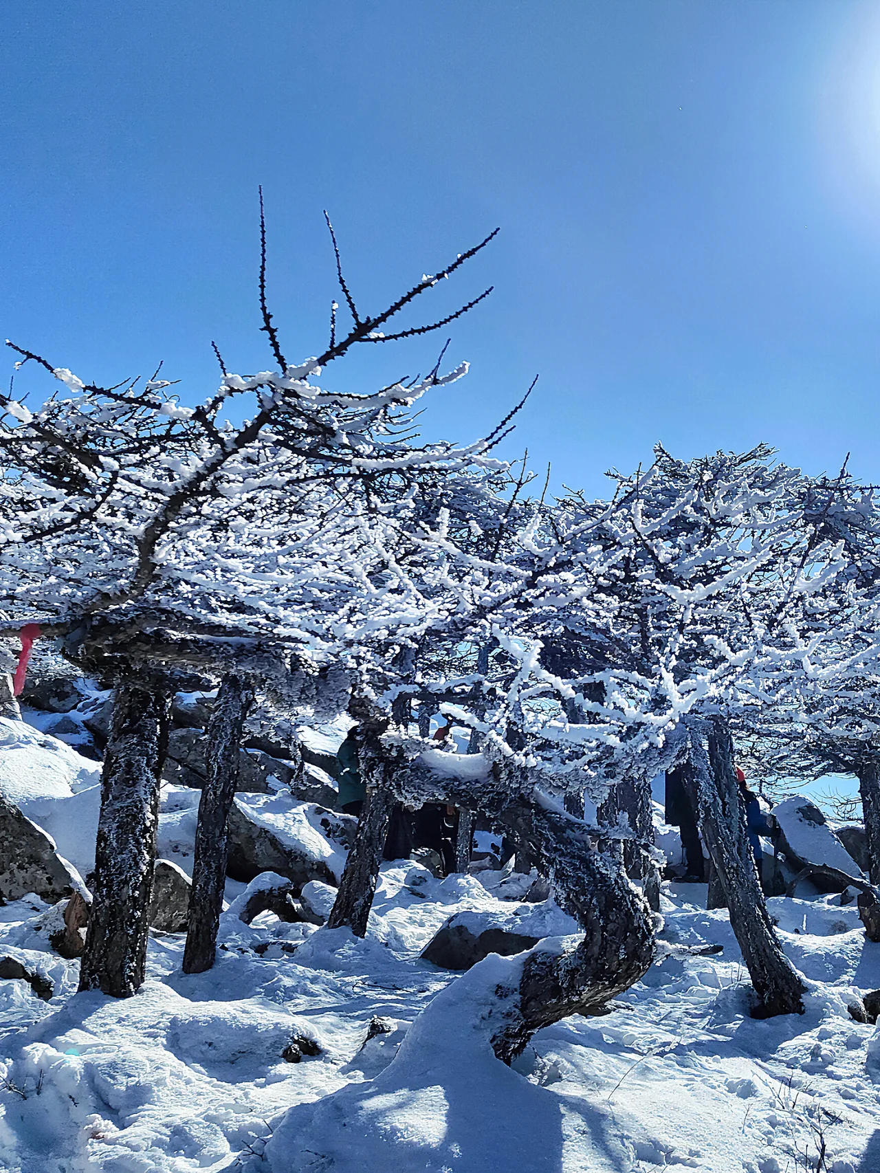 秦岭雪景哪里最美图片