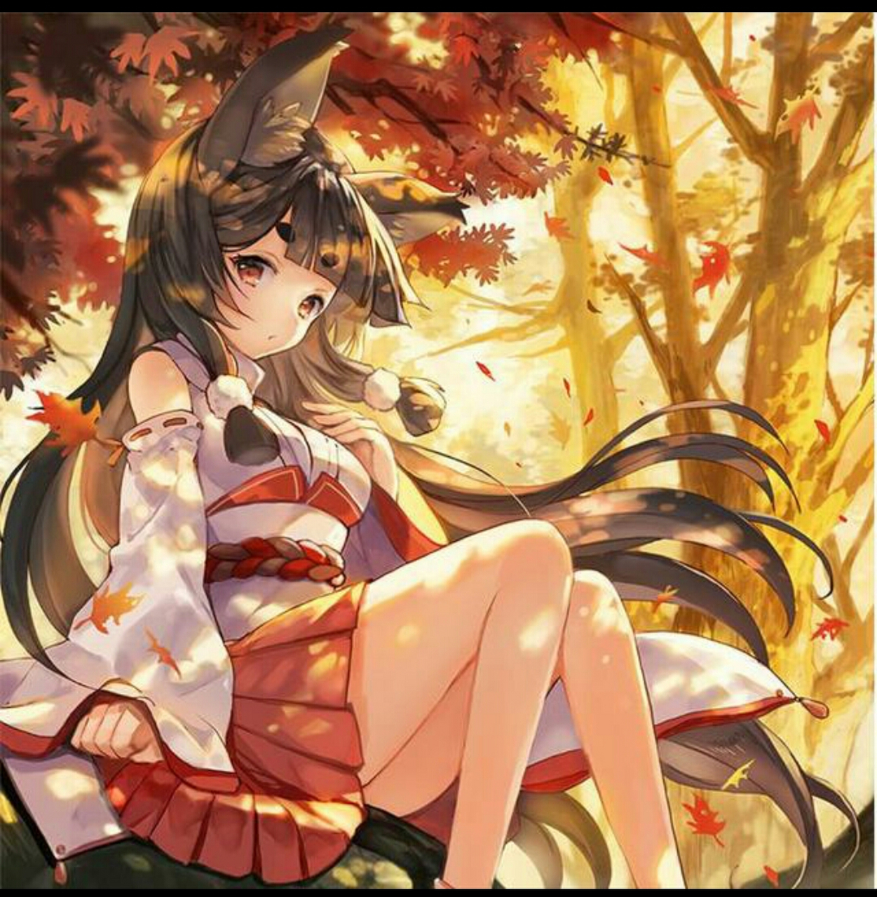 头像 狮子座头像