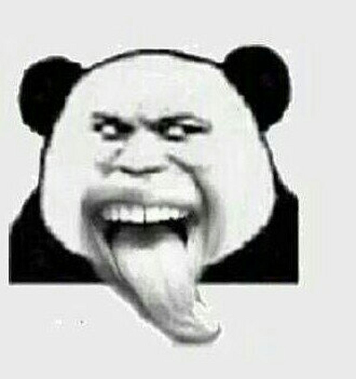 这个猥琐的表情