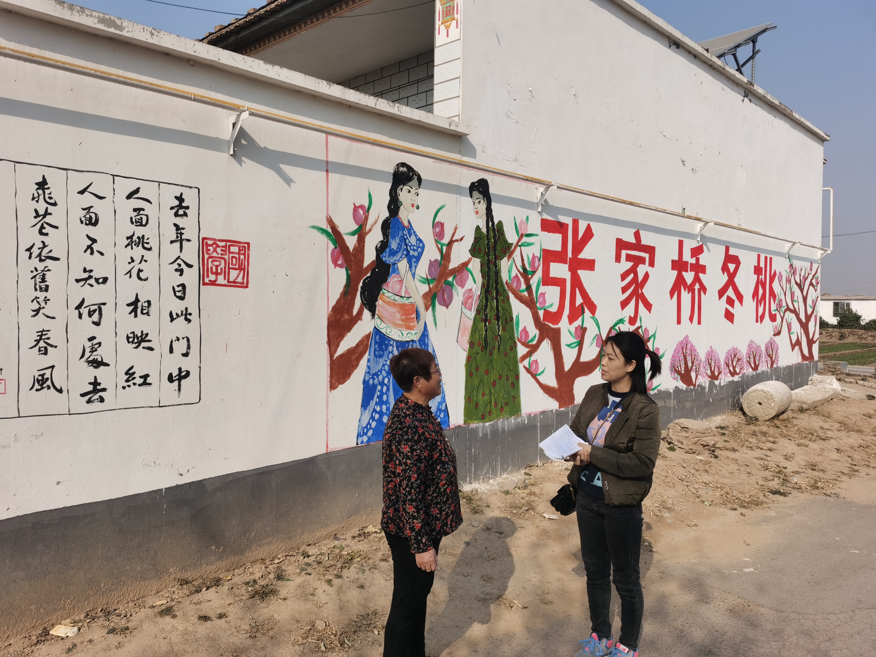 【河北省衡水市阜城县崔庙镇张家桥:千亩冬桃树走上致富路】过五旬的