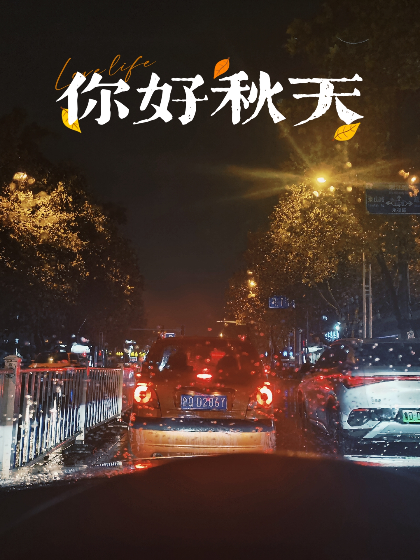 "秋天的晚风,轻轻拂过脸庞,带来一丝丝凉爽.