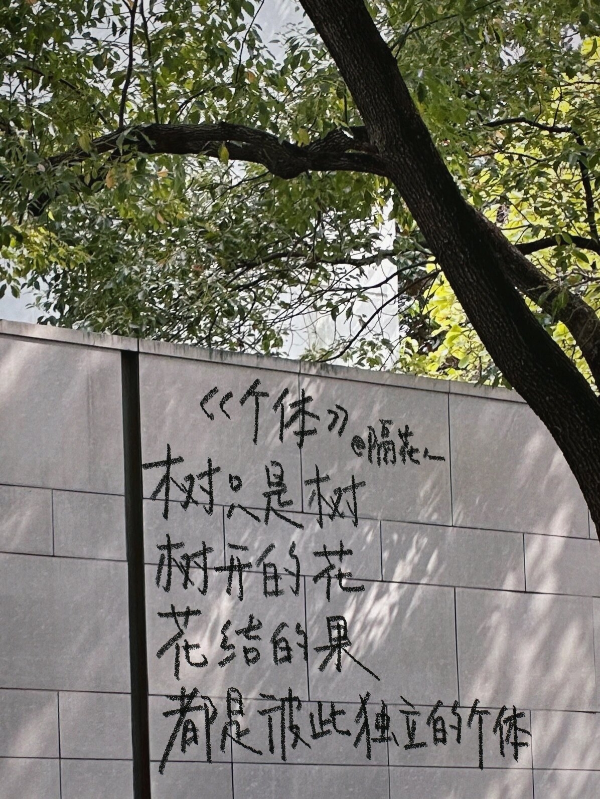 《个体》 树只是树 树开的花 花结的果 都是彼此独立的个体