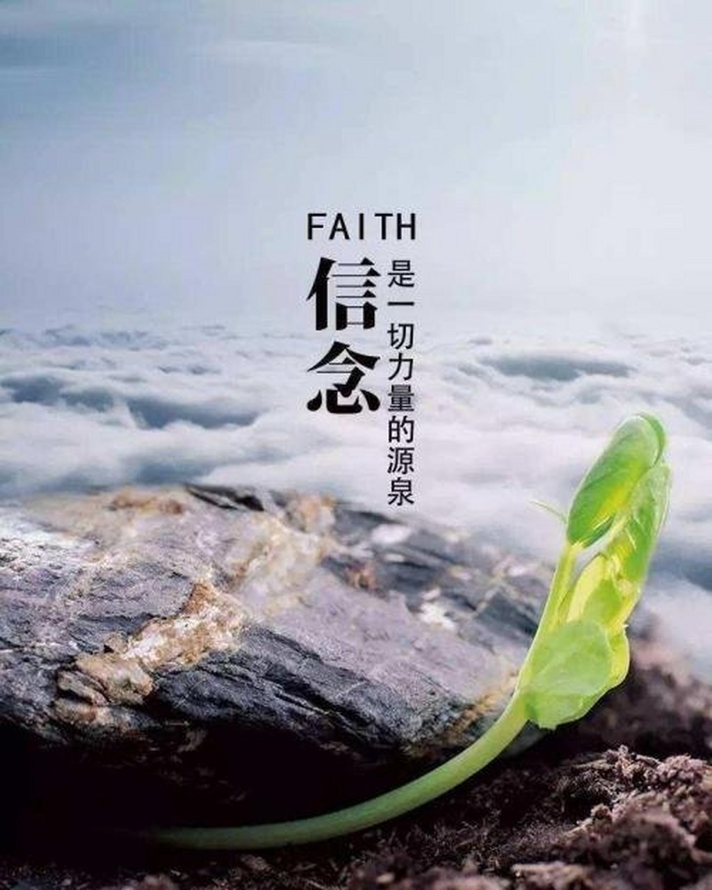 蓬生麻中,不扶自直; 白沙在涅,与之俱黑. 与苍鹰齐飞,必是俊鸟.