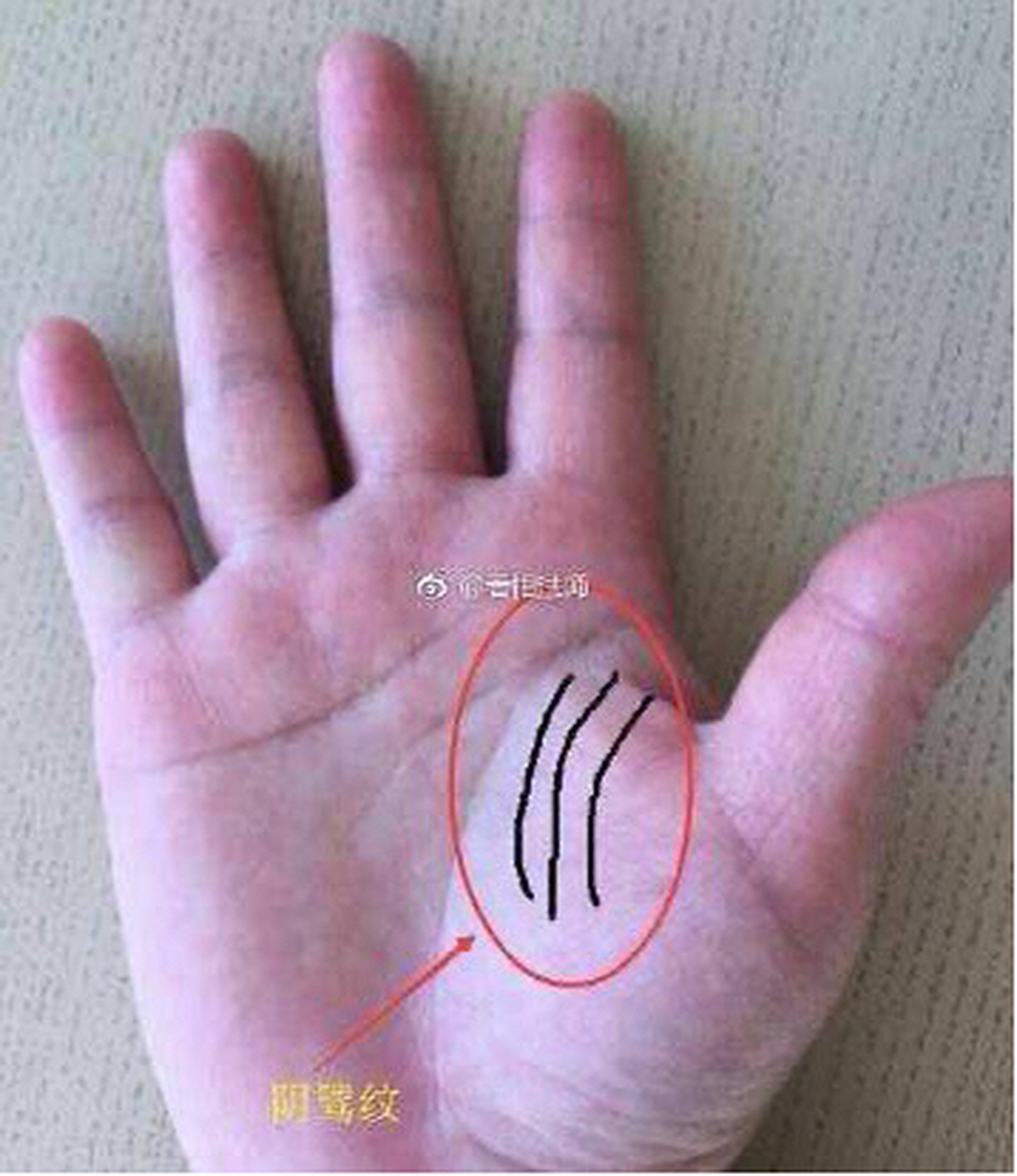 善事做多了(或祖上积了德),手上就会出现这样的线纹——-阴德纹,这是