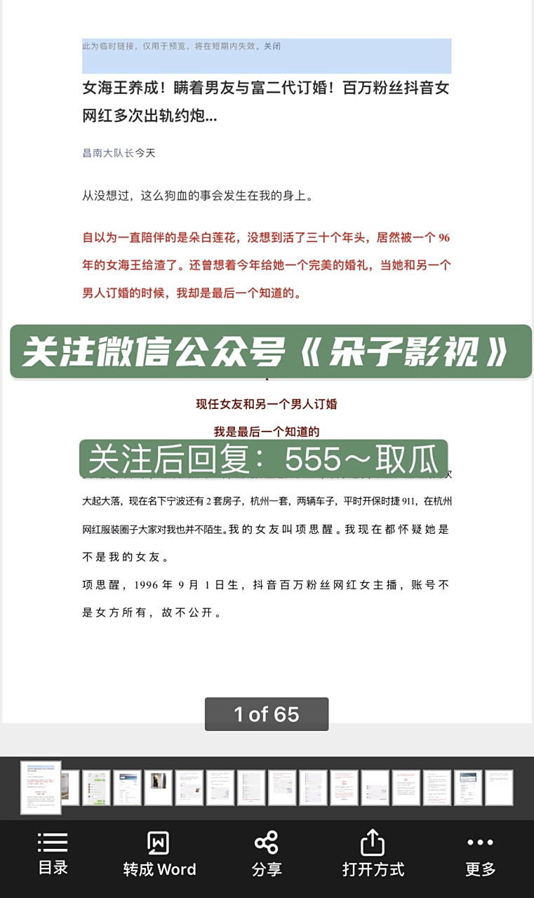 项思醒65页ppt# 下载/高清资源完整版