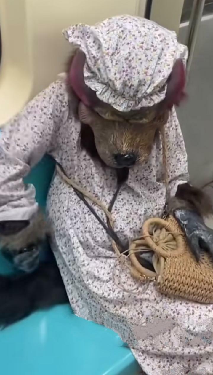 今天坐地铁真是遇到奇葩了,一走进来真的是吓了一跳,这是披着狼皮的人
