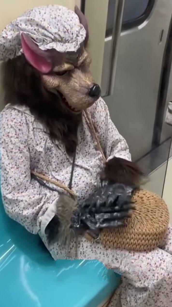 今天坐地铁真是遇到奇葩了,一走进来真的是吓了一跳,这是披着狼皮的人