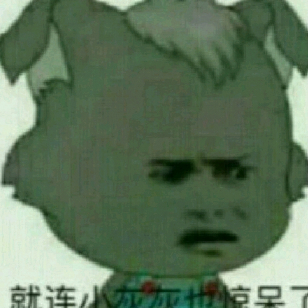 就连小灰灰也惊呆了 用这张图做头像的秀儿们和迷路的小灰灰请站出来