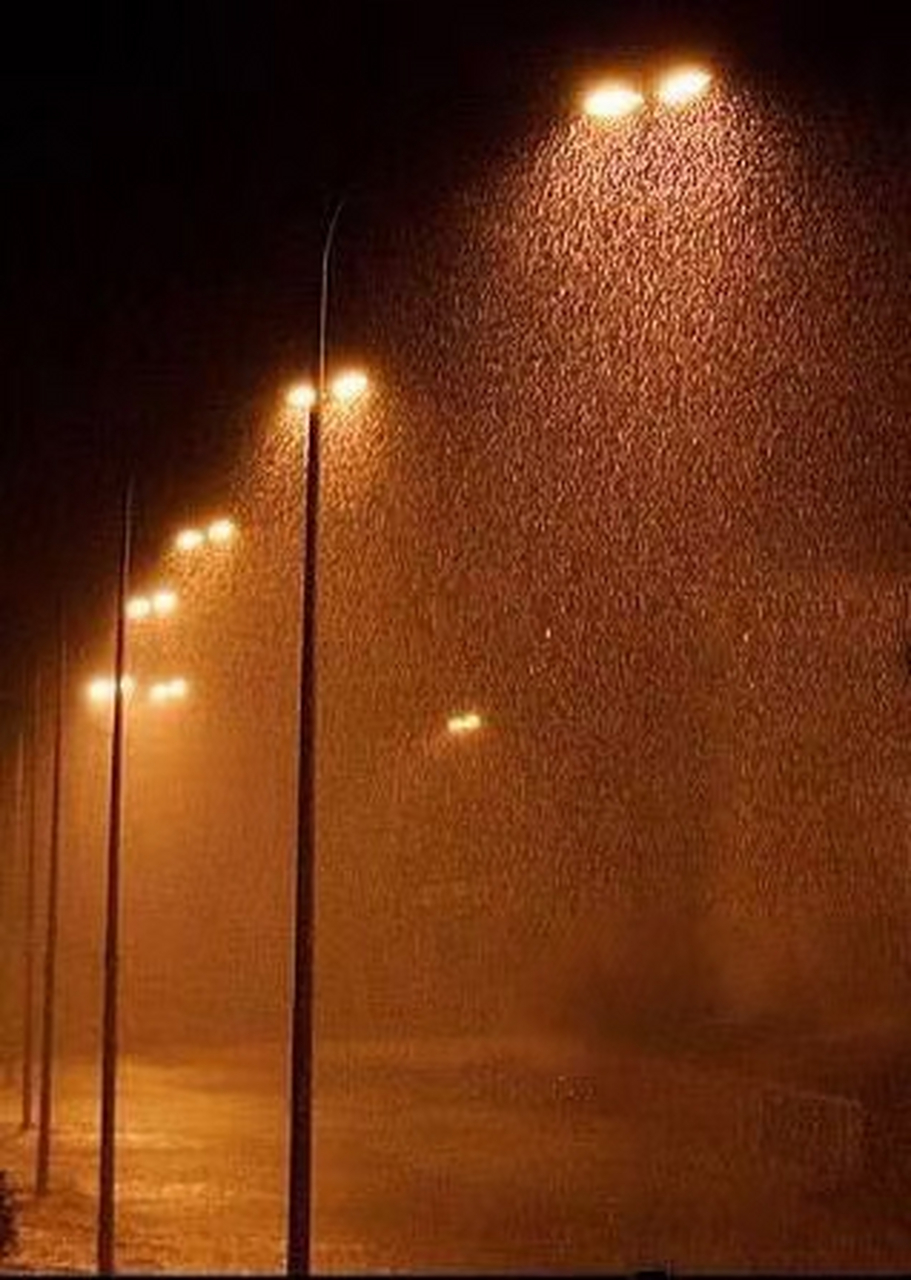 希望你也如我,享受这无声的雨中静谧.