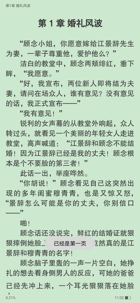 《顾念江景辞》又名《一念成殇顾念江景辞》抖音小说全文在线阅读【大