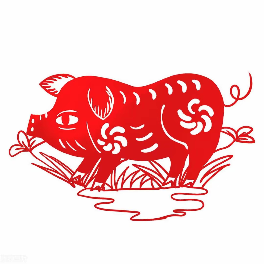 生肖运势属猪2025年(2035年属猪的多大)