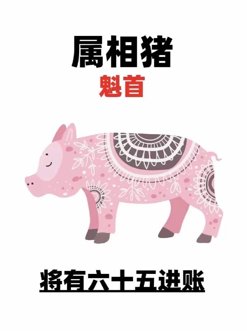 十二生肖属猪明年的运势(属猪明年的运气)