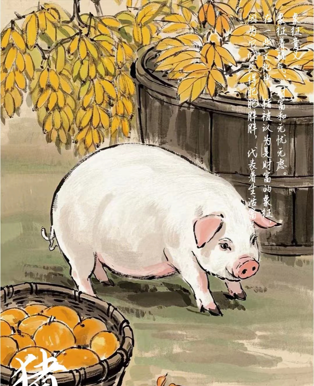 看一下生肖猪今年的运势(看一下生肖猪今年的运势如何)