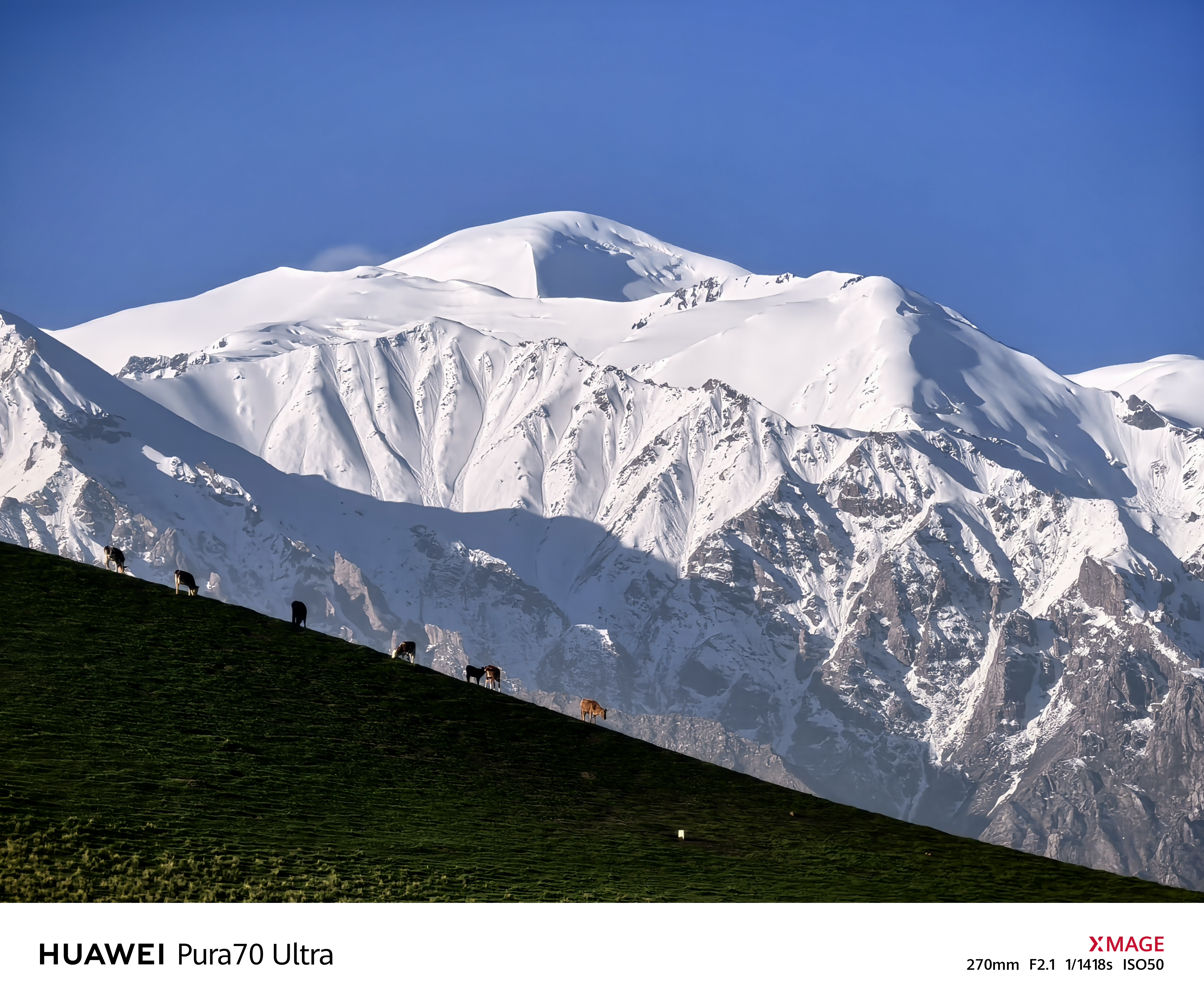 在新疆和田地区的策勒县,隐藏着板兰格景区这样一处人间仙境.