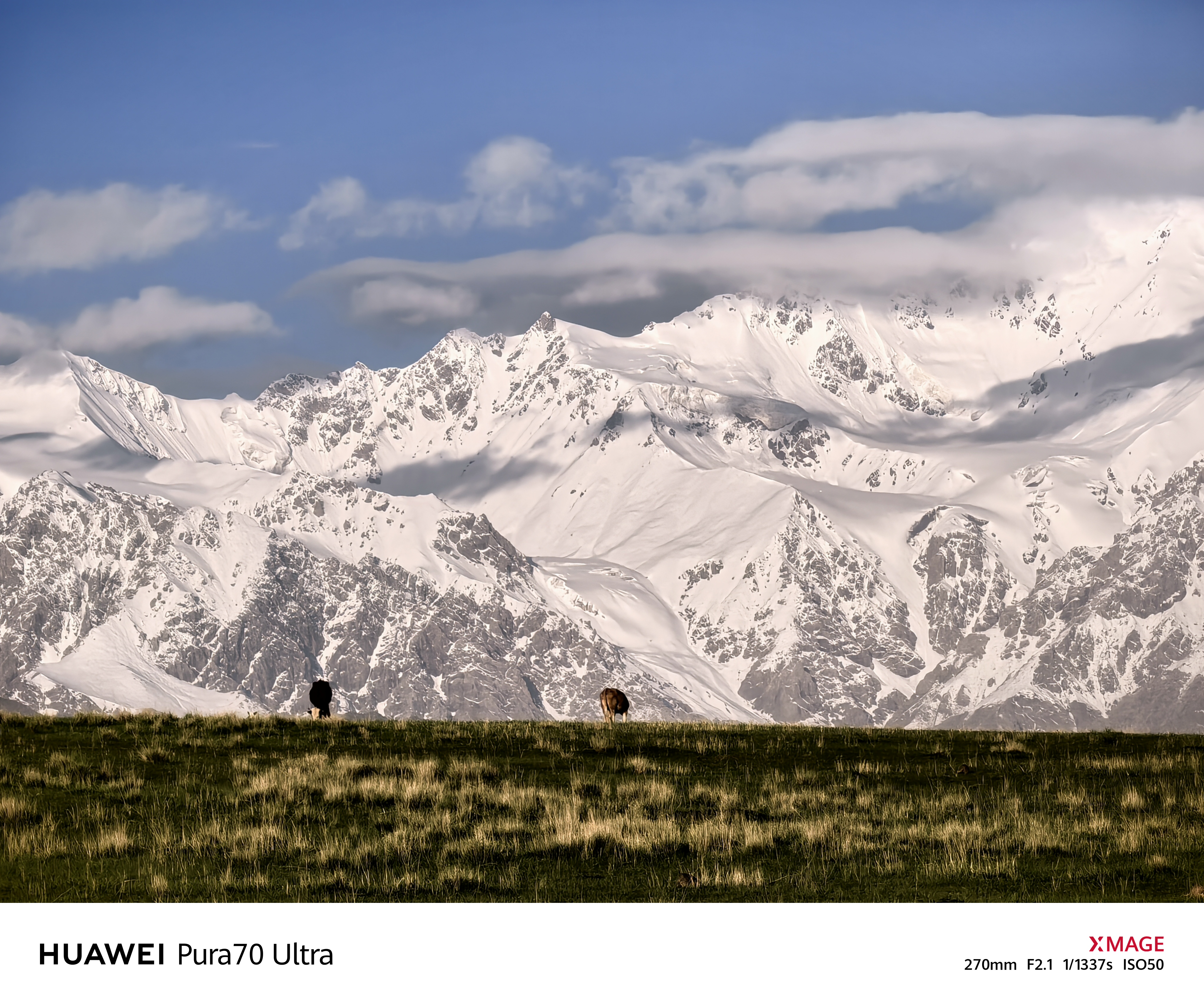 在新疆和田地区的策勒县,隐藏着板兰格景区这样一处人间仙境.