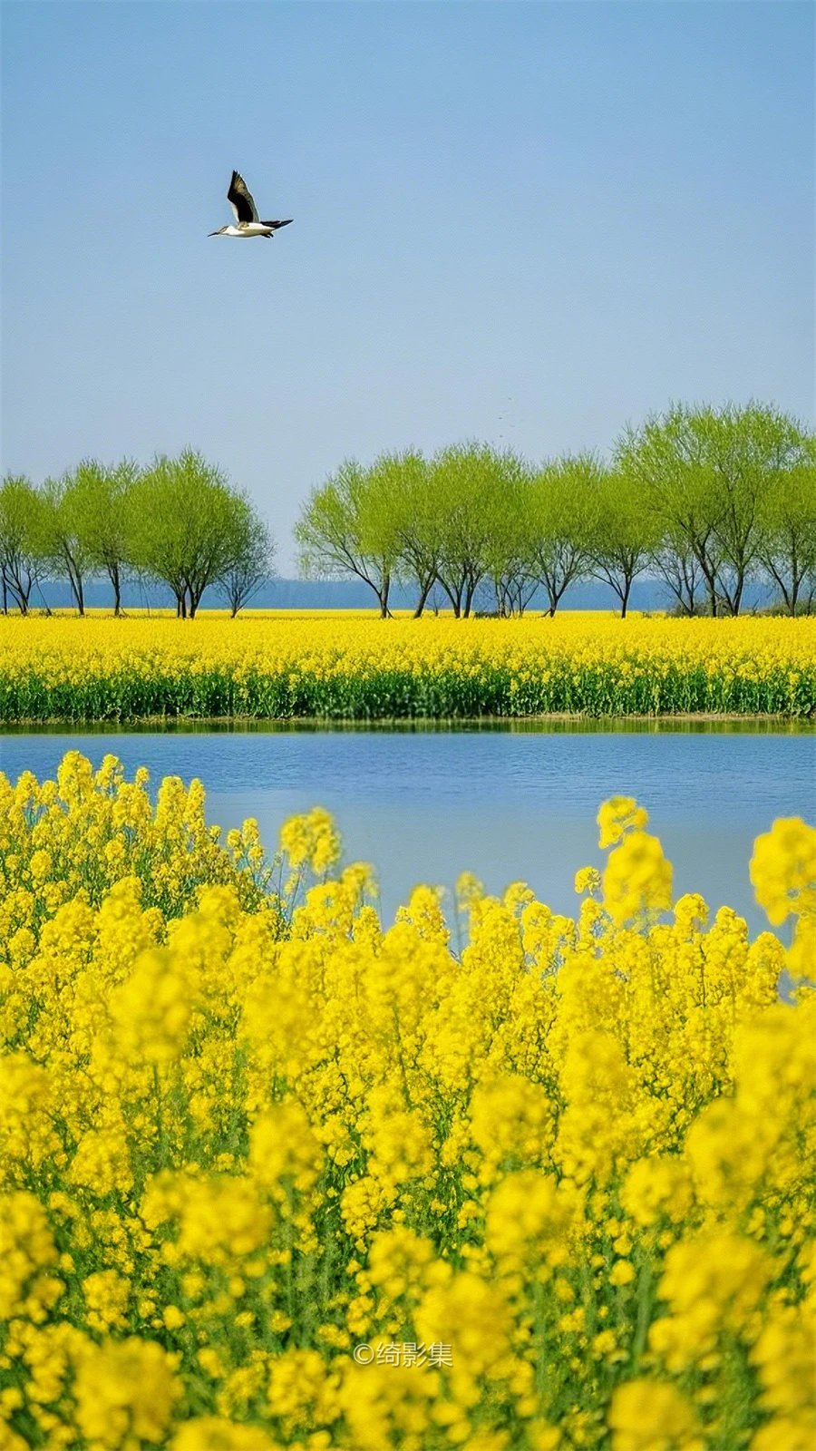 万紫春天花开的图片大自然风景春天美丽的景色大自然山清水秀水少量
